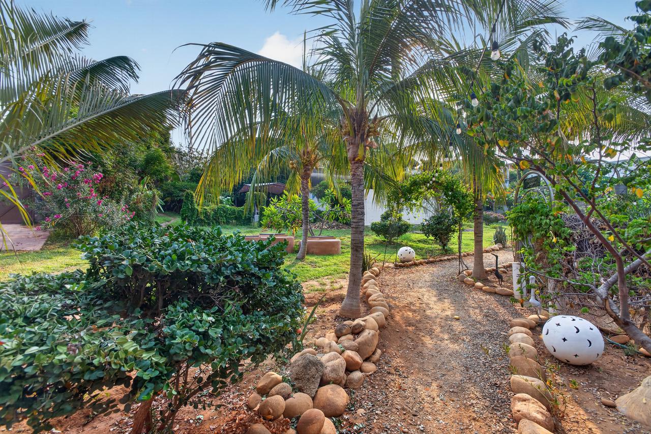 Garden pathway lined with palms and stones